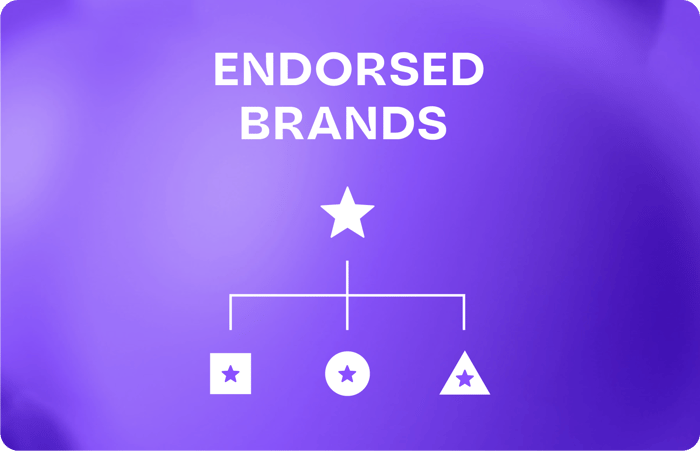 Endorsed Brand Strategy Infografik